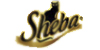 Sheba (Тайланд) Шеба