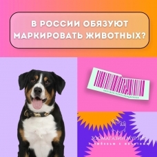 Обязательная маркировка животных в России Обязательная маркировка животных в России