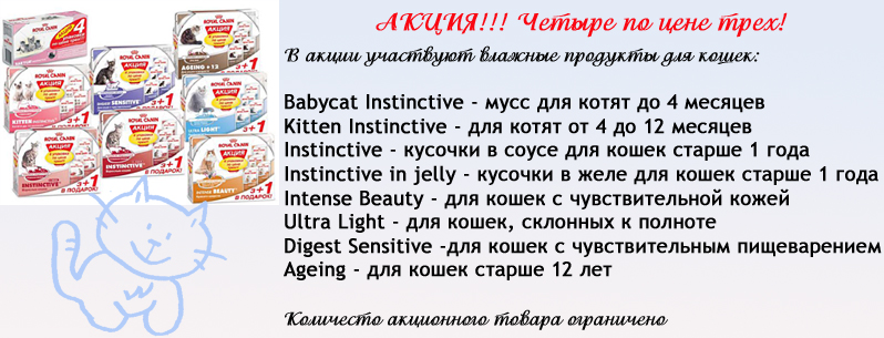 ins-3-plus-1 ins-3-plus-1