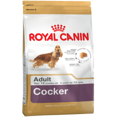 Royal Canin Cocker Adult - Роял Канин для собак породы кокер-спаниель в возрасте от 12 месяцев 3 кг Royal Canin Cocker Adult - Роял Канин для собак породы кокер-спаниель в возрасте от 12 месяцев 3 кг