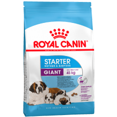ROYAL CANIN Giant Starter - Роял Канин Джайант Стартер для щенков до 2 месяцев и кормящих собак гигантских пород 15 кг ROYAL CANIN Giant Starter - Роял Канин Джайант Стартер для щенков до 2 месяцев и кормящих собак гигантских пород 15 кг