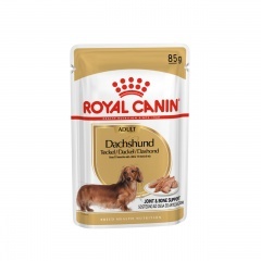 Royal Canin Dachshund Adult Роял Канин паучи для собак породы Такса-паштет, 85 гр Royal Canin Dachshund Adult Роял Канин паучи для собак породы Такса-паштет, 85 гр