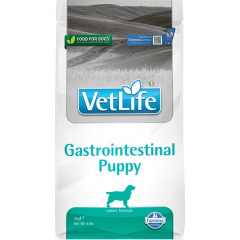 FARMINA Vet Life Dog Gastro-Intestinal Puppy ФАРМИНА диета для щенков с проблемами ЖКТ 2 кг FARMINA Vet Life Dog Gastro-Intestinal Puppy ФАРМИНА диета для щенков с проблемами ЖКТ 2 кг