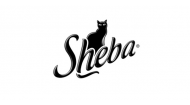 Sheba Sheba