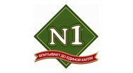 N1 N1